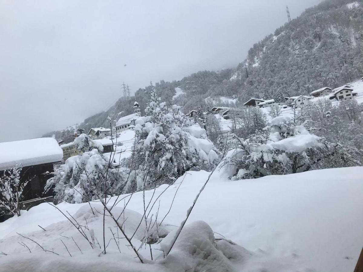 Ustria Crusch Alva Bed and Breakfast Tavanasa Εξωτερικό φωτογραφία