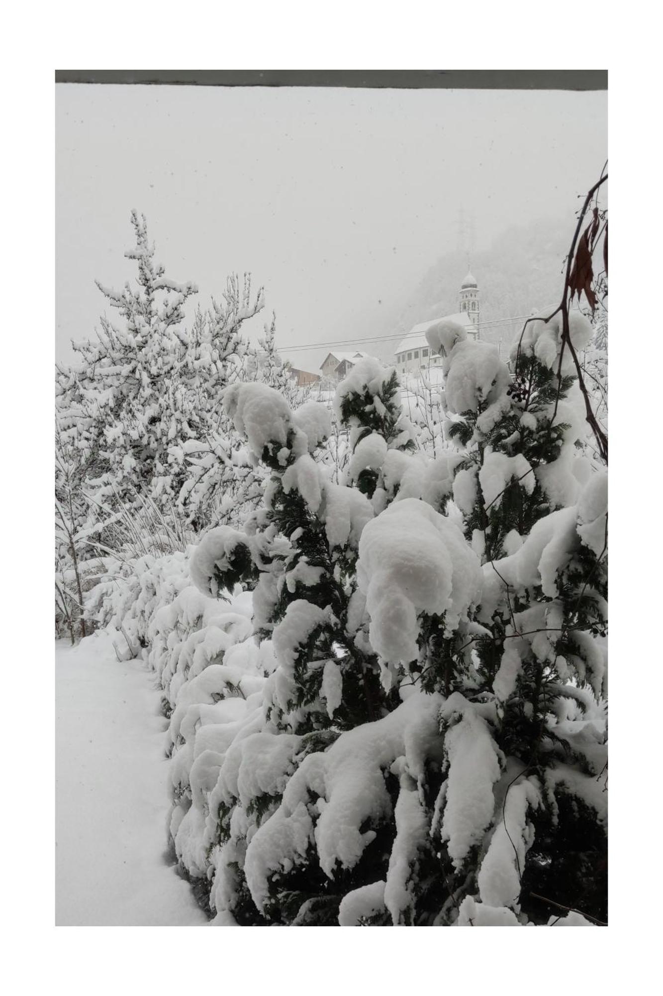 Ustria Crusch Alva Bed and Breakfast Tavanasa Εξωτερικό φωτογραφία